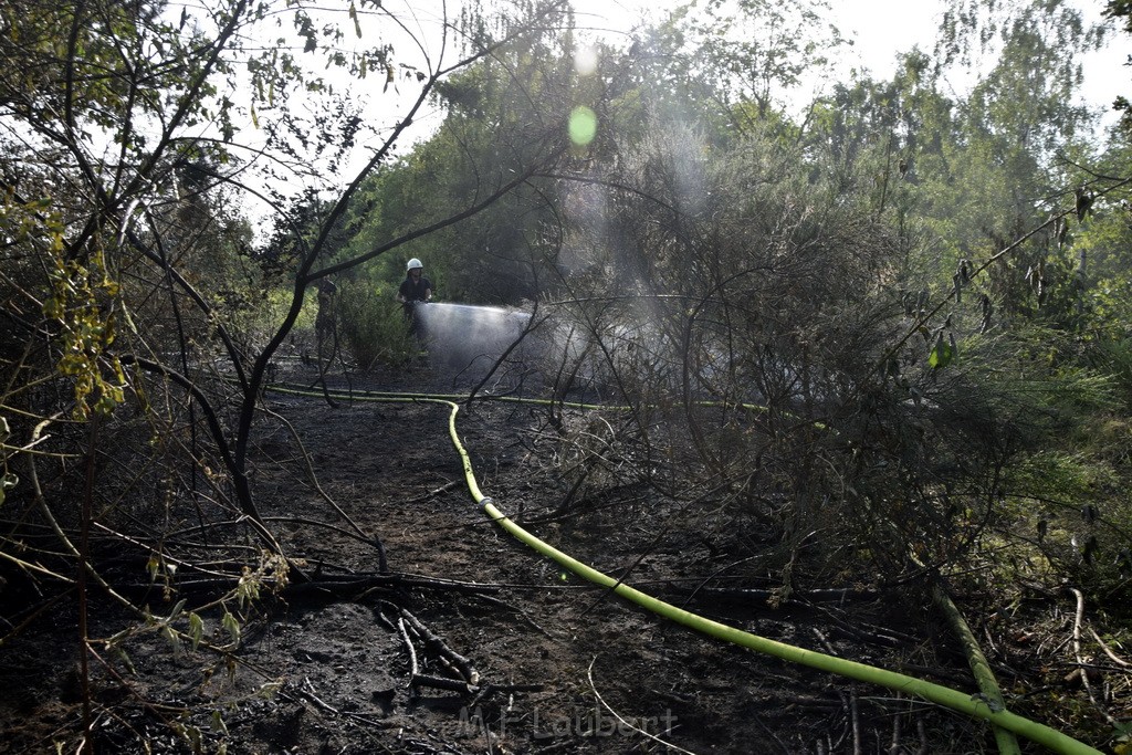 Waldbrand Koeln Hoehenhaus Hoehenfelder Mauspfad P078.JPG - Miklos Laubert